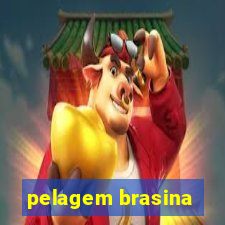 pelagem brasina