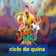 ciclo da quina