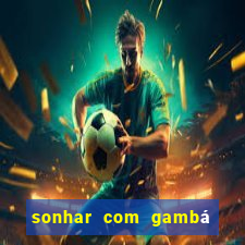 sonhar com gambá jogo do bicho