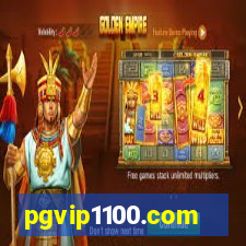 pgvip1100.com